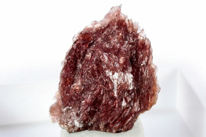 Lustrous Red Alurgite Crystal Cluster - South Africa #309594